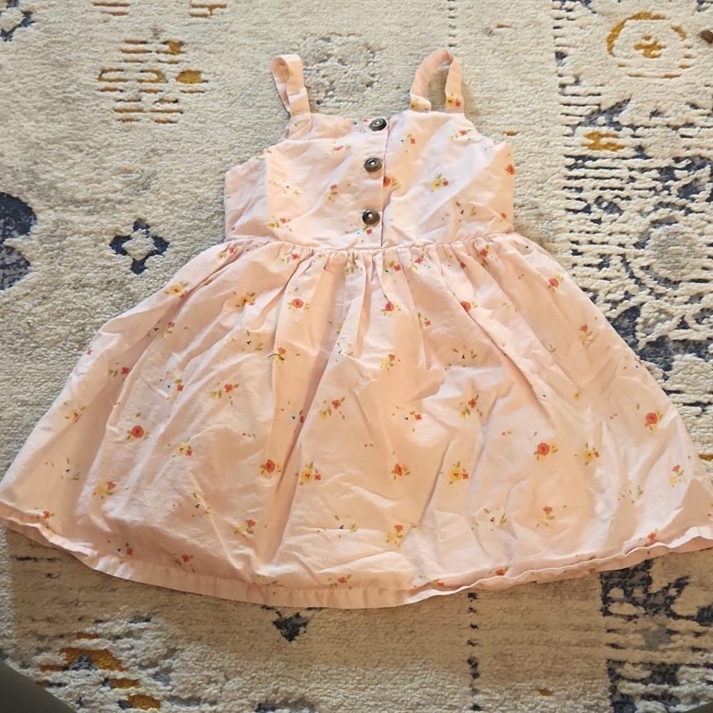 Cat and Jack dress